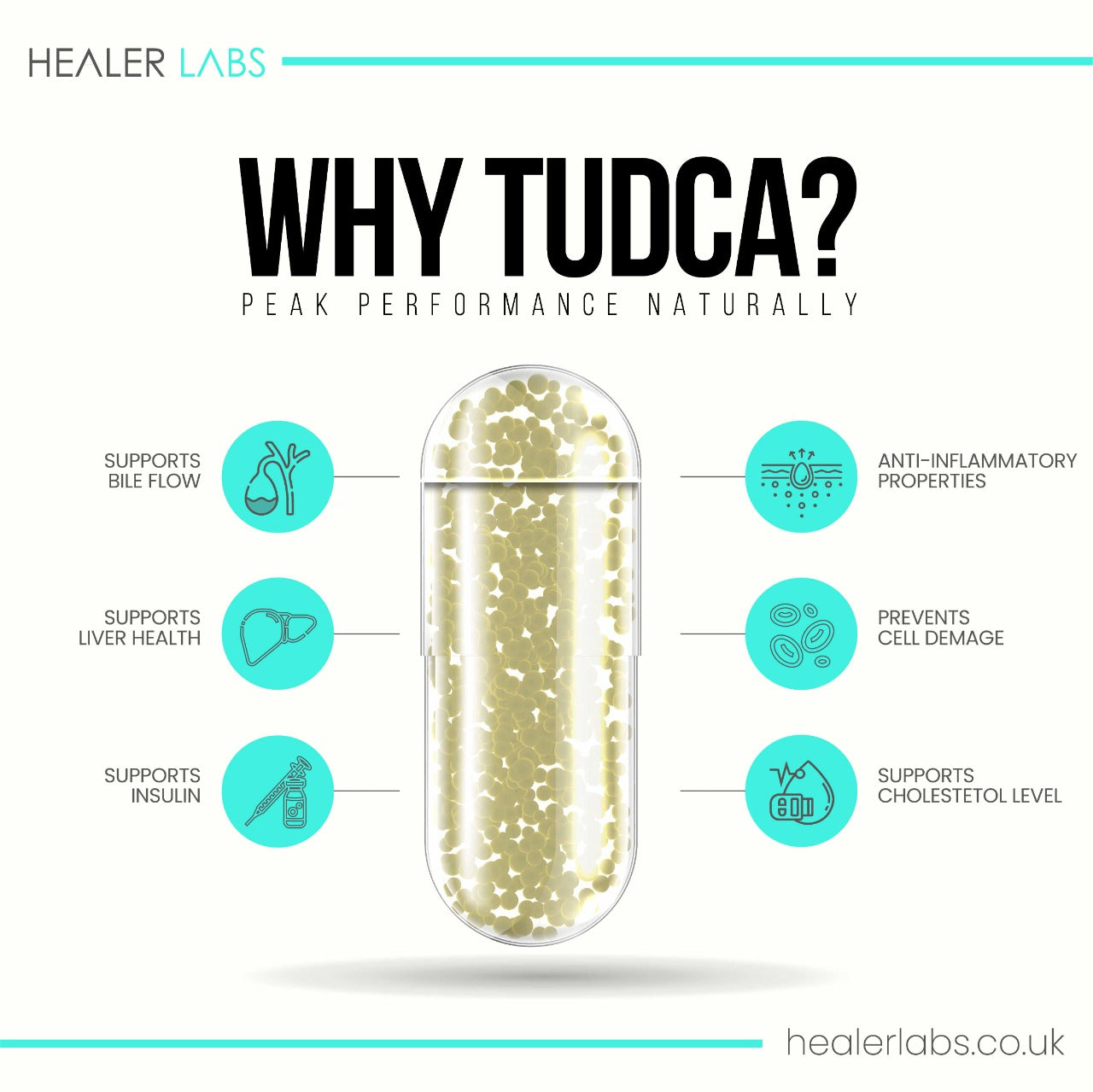  Healer Labs - Liver Detox With Tudca Nac & Milk Thistle - The Beauty Corp.