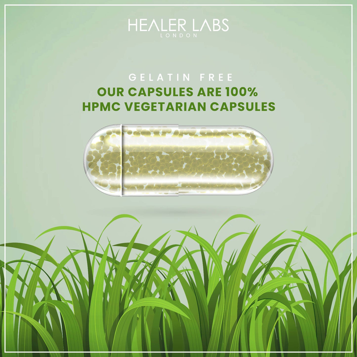  Healer Labs - Organic Fadogia Agrestis 20:1 Extract - The Beauty Corp.